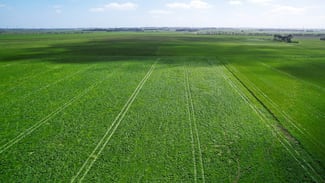 Rural / Farming commercial property for sale at 'Leigrand' Willatook-Warrong Road Willatook VIC 3283