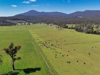 Rural / Farming commercial property for sale at 38791 Tasman Highway Nunamara TAS 7259