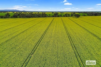 Rural / Farming commercial property for sale at 58 Gready Road Wal Wal VIC 3385 Rural / Farming commercial property for sale at 58 Gready Road Wal Wal VIC 3385