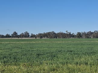 Rural / Farming commercial property for sale at Dubbo NSW 2830 Rural / Farming commercial property for sale at Dubbo NSW 2830