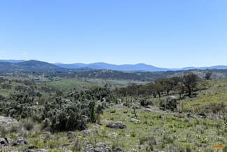 Rural / Farming commercial property for sale at "Muriel's Paddock" Gullies Road Moonbah NSW 2627