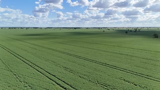 Rural / Farming commercial property for sale at 814 Murrays Road Moree NSW 2400 Rural / Farming commercial property for sale at 814 Murrays Road Moree NSW 2400