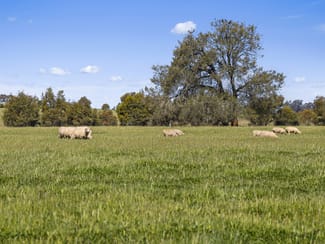 Rural / Farming commercial property for sale at Tattersalls Lane Moormbool West VIC 3523 Rural / Farming commercial property for sale at Tattersalls Lane Moormbool West VIC 3523