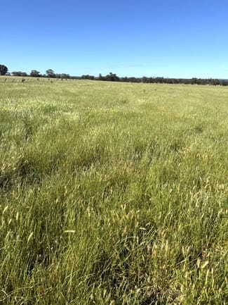 Rural / Farming commercial property for sale at 63 Coonooer Gowar Road Coonooer Bridge VIC 3477 Rural / Farming commercial property for sale at 63 Coonooer Gowar Road Coonooer Bridge VIC 3477