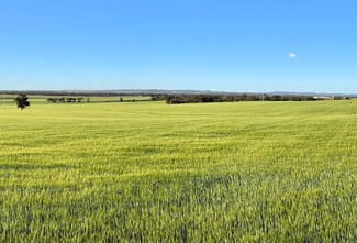Rural / Farming commercial property for sale at Binneguy Station Biniguy NSW 2399 Rural / Farming commercial property for sale at Binneguy Station Biniguy NSW 2399