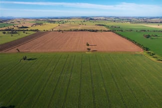 Rural / Farming commercial property for sale at Cootamundra NSW 2590