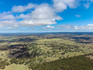 Rural / Farming commercial property for sale at 232 Springfield Road Deepwater NSW 2371 Rural / Farming commercial property for sale at 232 Springfield Road Deepwater NSW 2371