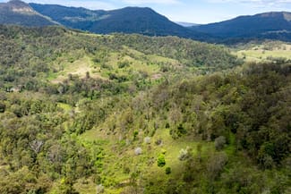 Rural / Farming commercial property for sale at Lot 15 Gradys Creek Road Cougal NSW 2474