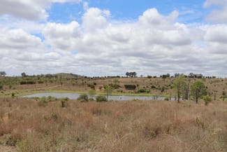 Rural / Farming commercial property for sale at "Penlyn Hills" 811 Lowries Road Kokotungo QLD 4702 Rural / Farming commercial property for sale at "Penlyn Hills" 811 Lowries Road Kokotungo QLD 4702