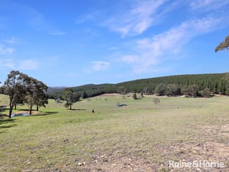 Rural / Farming commercial property for sale at Lot 29 Mount Homer Road Yetholme NSW 2795 Rural / Farming commercial property for sale at Lot 29 Mount Homer Road Yetholme NSW 2795