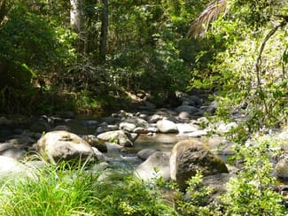Rural / Farming commercial property for sale at Lot 7/422 Main Creek Road Kyogle NSW 2474 Rural / Farming commercial property for sale at Lot 7/422 Main Creek Road Kyogle NSW 2474