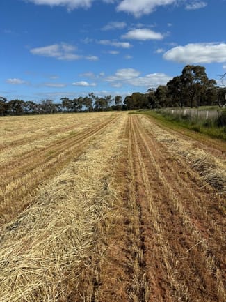 Rural / Farming commercial property for sale at - Cnr Heathcote - Rochester Rd & Davey Rd Cornella VIC 3551 Rural / Farming commercial property for sale at - Cnr Heathcote - Rochester Rd & Davey Rd Cornella VIC 3551