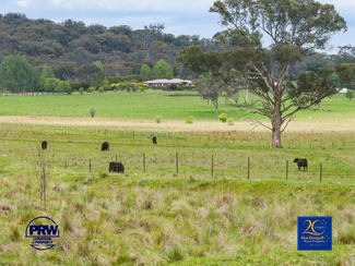 Rural / Farming commercial property for sale at 503 Casltedoyle Road Armidale NSW 2350 Rural / Farming commercial property for sale at 503 Casltedoyle Road Armidale NSW 2350