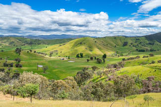 Rural / Farming commercial property for sale at 400 Horse Creek Road Jingellic NSW 2642 Rural / Farming commercial property for sale at 400 Horse Creek Road Jingellic NSW 2642