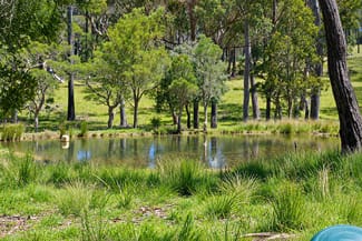 Rural / Farming commercial property for sale at 976-996 Bulldog Road ( VIA TABULAM ) Bulldog NSW 2469 Rural / Farming commercial property for sale at 976-996 Bulldog Road ( VIA TABULAM ) Bulldog NSW 2469