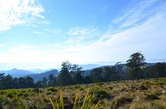 Rural / Farming commercial property sold at Lot 145 Costigans Road Yarras NSW 2446 Rural / Farming commercial property sold at Lot 145 Costigans Road Yarras NSW 2446