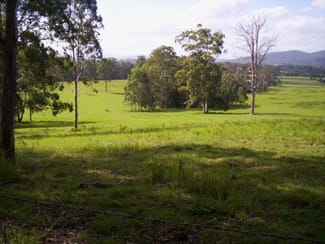 Rural / Farming commercial property sold at Lot 59 Fletchers Road Rollands Plains NSW 2441 Rural / Farming commercial property sold at Lot 59 Fletchers Road Rollands Plains NSW 2441