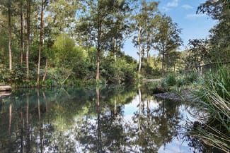 Rural / Farming commercial property sold at 861 Pappinbarra Road Pappinbarra NSW 2446 Rural / Farming commercial property sold at 861 Pappinbarra Road Pappinbarra NSW 2446