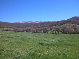 Rural / Farming commercial property sold at 229 Wobonga Lane Eurobin VIC 3739 Rural / Farming commercial property sold at 229 Wobonga Lane Eurobin VIC 3739