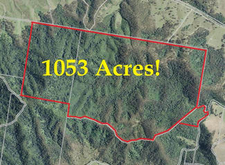 Rural / Farming commercial property sold at 6259 Oxley Highway Yarras NSW 2446 Rural / Farming commercial property sold at 6259 Oxley Highway Yarras NSW 2446