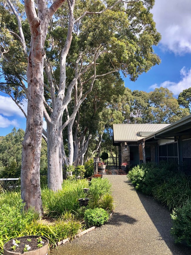 356 Shands Road Main Ridge VIC 3928 356 Shands Road Main Ridge VIC 3928