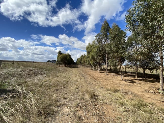 797 Ryans Lane Melton VIC 3337