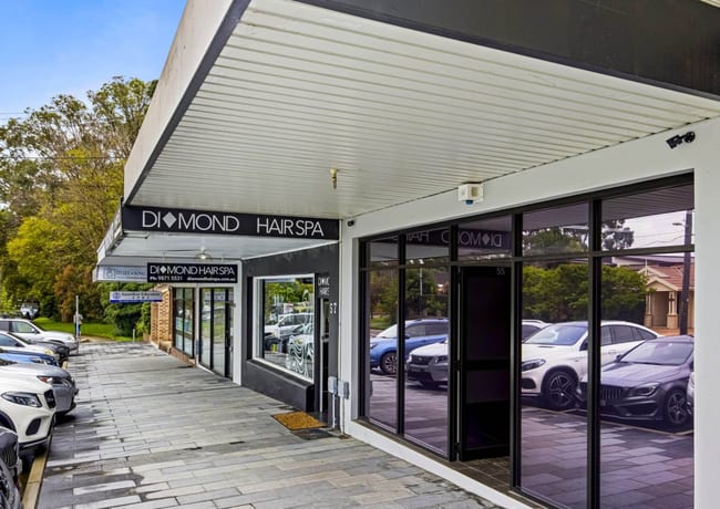 55 Tintern Avenue Telopea NSW 2117