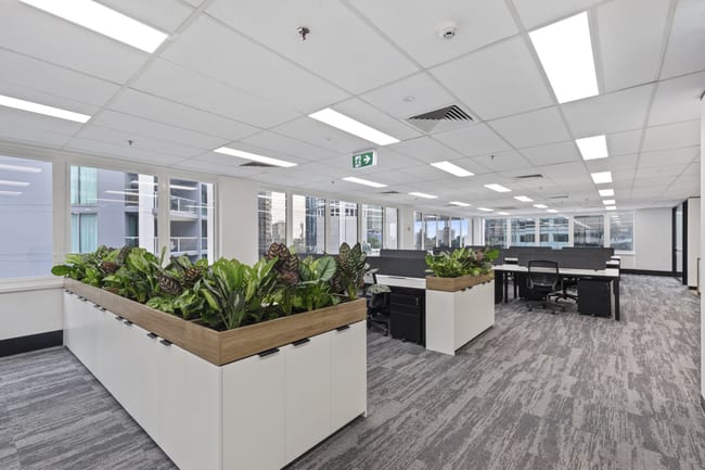 Level 7/10 Felix Street Brisbane City QLD 4000