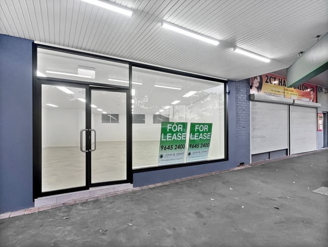 2 Villawood Place Villawood NSW 2163