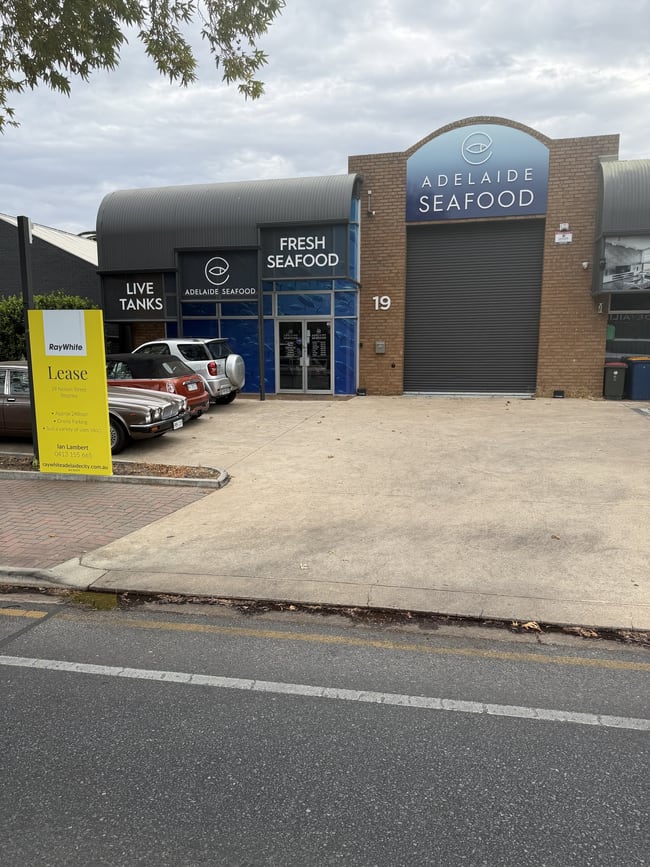 19 Nelson Street Stepney SA 5069