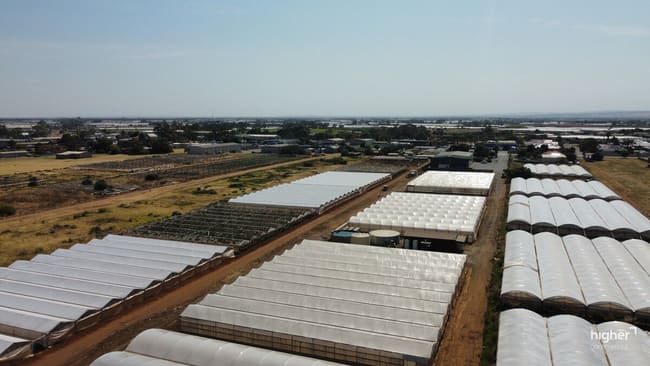 Lot 101 Old Port Wakefield Road Virginia SA 5120 Lot 101 Old Port Wakefield Road Virginia SA 5120