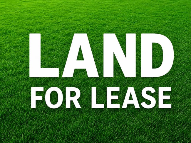 87 Windham Street (Yard facing Bentlinck St) Wallan VIC 3756