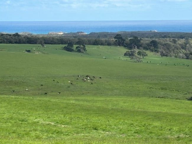 Lochs Road Port Campbell VIC 3269 Lochs Road Port Campbell VIC 3269