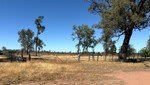 1056 Kickabil Road Balladoran NSW 2822