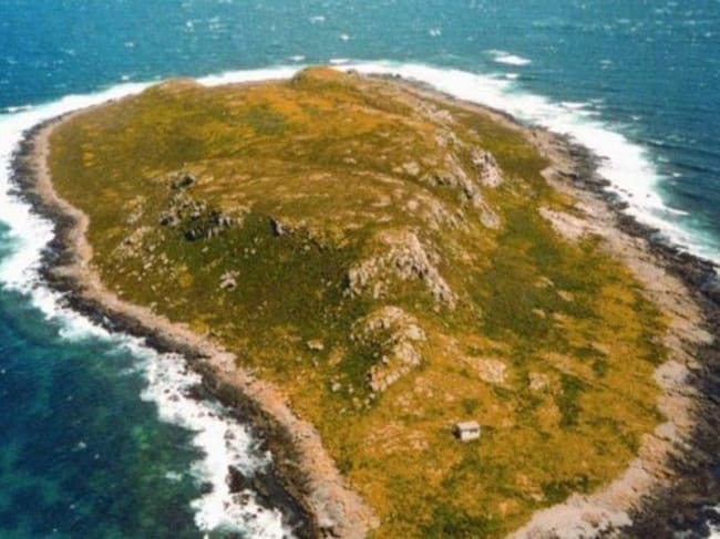 . Ninth Island Bridport TAS 7262 . Ninth Island Bridport TAS 7262