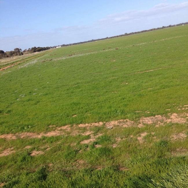 Lot 590 Hillside Road Moama NSW 2731