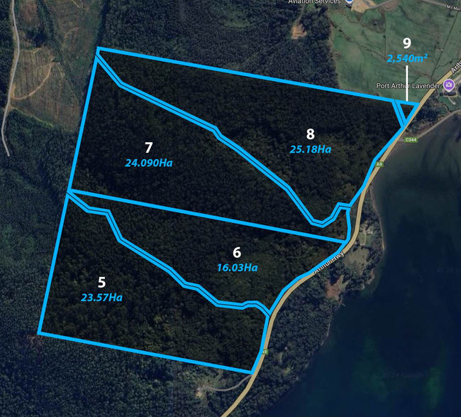6620 Arthur Hwy Port Arthur TAS 7182