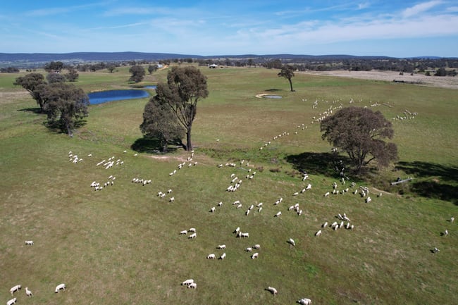 424 Trebane Road Crowther NSW 2803
