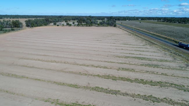 Warren NSW 2824
