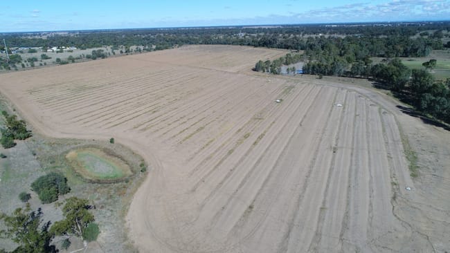 Warren NSW 2824