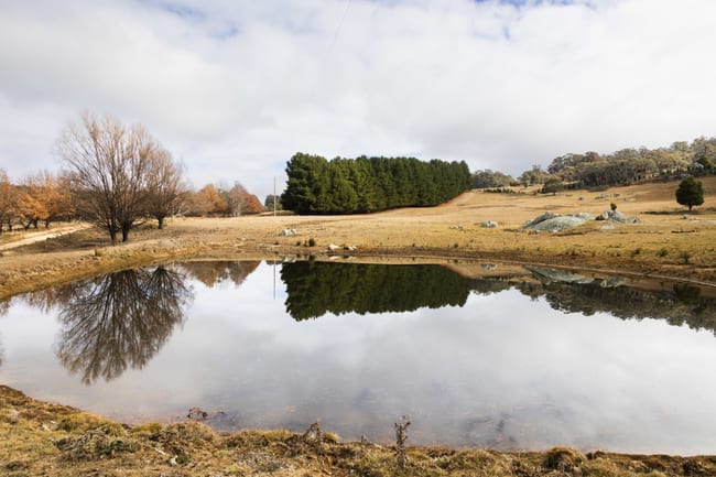 175 Tumbledown Road Peak View NSW 2630