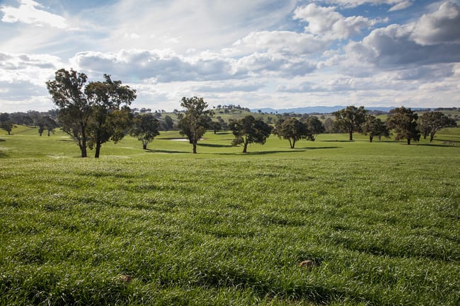 Glenarvon, Burnt Yards Road Mandurama NSW 2792