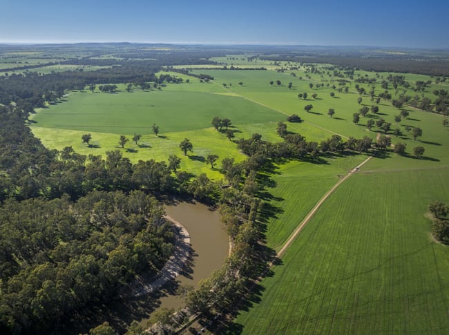190 Berryjerry Lane Collingullie NSW 2650 190 Berryjerry Lane Collingullie NSW 2650