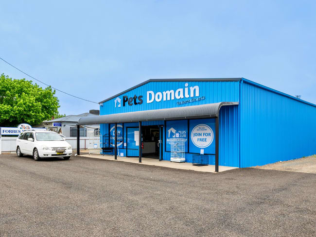 64 Templar Street Forbes NSW 2871