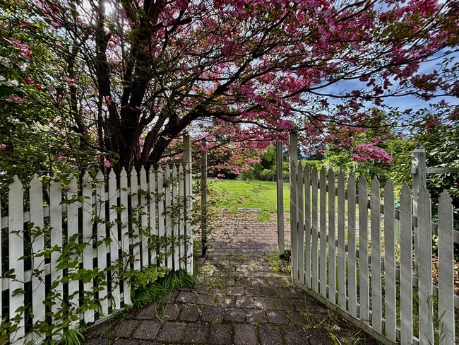 16 Murchison Street Marysville VIC 3779