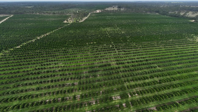 Bucca QLD 4670 Bucca QLD 4670