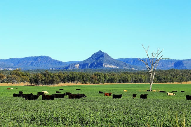 Rewan Road Rolleston QLD 4702 Rewan Road Rolleston QLD 4702