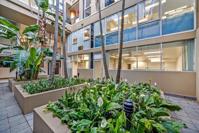 Suites 203 & 204, 1 Katherine Street Chatswood NSW 2067 Suites 203 & 204, 1 Katherine Street Chatswood NSW 2067