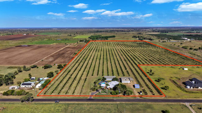 233 Back Springfield Road Woongarra QLD 4670 233 Back Springfield Road Woongarra QLD 4670