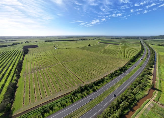 397 Pimlico Road Pimlico NSW 2478 397 Pimlico Road Pimlico NSW 2478